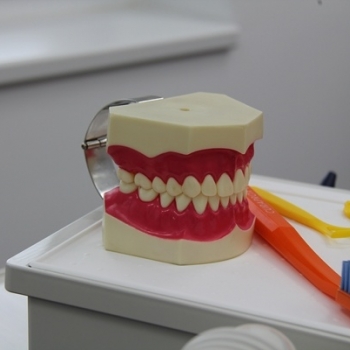 Dentální hygiena - foto č. 5